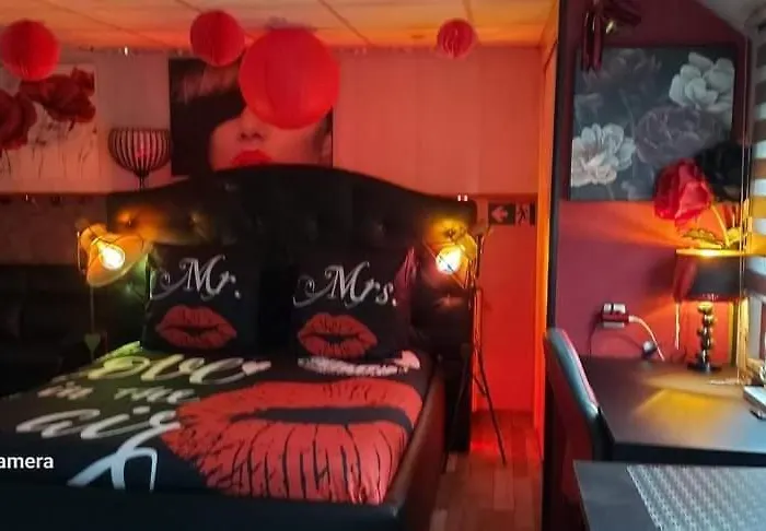 Péniche Morgane 2 Sas Les Bêtises Bateau-hôtel *