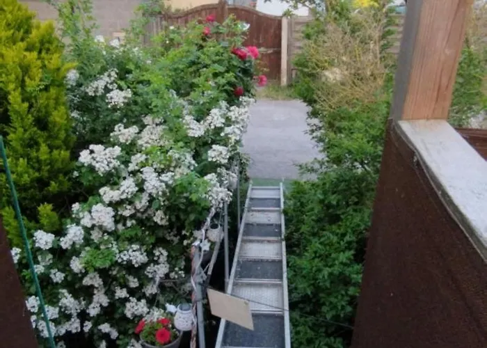 Péniche Morgane 2 Sas Les Bêtises Cambrai