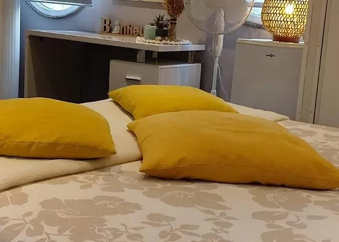 Péniche Morgane 2 Sas Les Bêtises Bateau-hôtel